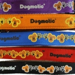 Dogmatic Collar With Padded Cushion Webbing Purple 25 Mm X 480-700mm